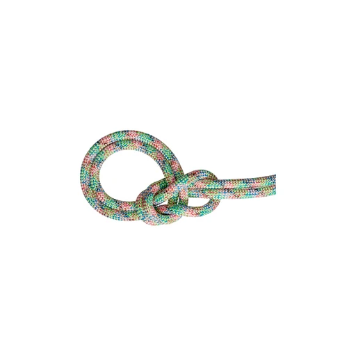 9.0 Crag We Care Dry Rope | Mammut