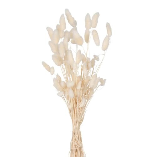 Bouquet de fleurs séchées | Maisons du Monde