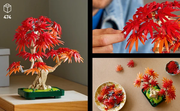 LEGO Botanicals Japanese Red Maple Bonsai - Adult Building Kit - Artificial Plant with Red Leaves and Oranges - Buildable Pot - Gift Idea - Home Decor DIY 10348 : Amazon.com.be: Toys