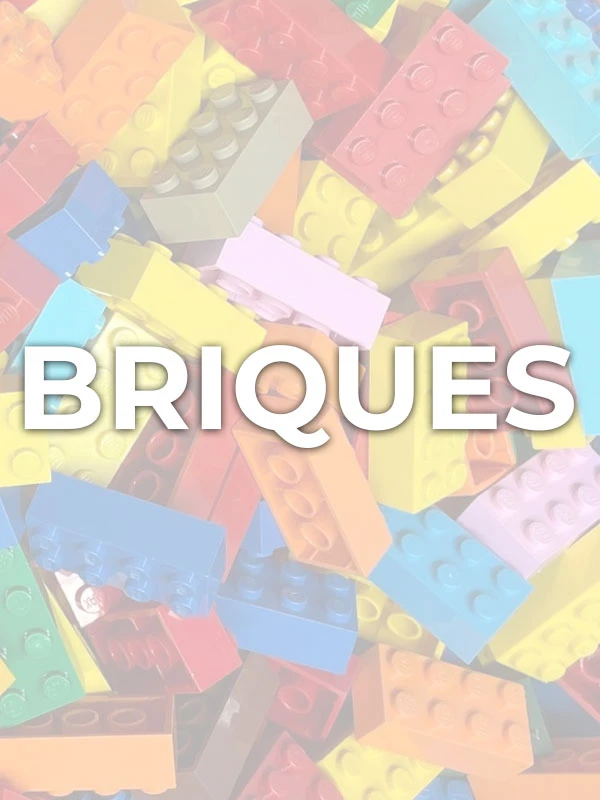 BRIQUES