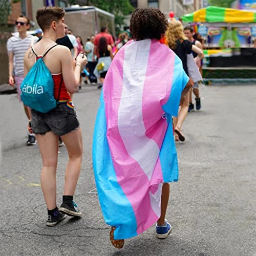 ☆Trans flag