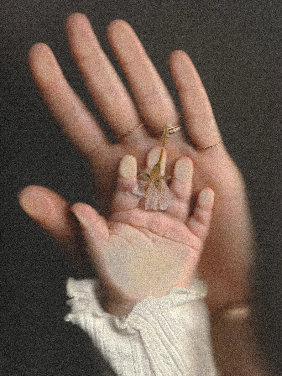 Laura 𓇢 𓆸 sur Instagram: "Nos mains entrelacées 🌸📸 je scannais juste des fleurs de cerisiers que j’ai faites sécher au printemps … pour pouvoir les utiliser comme je fais tout le temps pour cacher le visage de ma douce bébé, puis pour l’amuser on a mis nos mains dans le scanner et je ne sais pas pourquoi mais j’adore cette image imparfaite et spontanée 🌸"