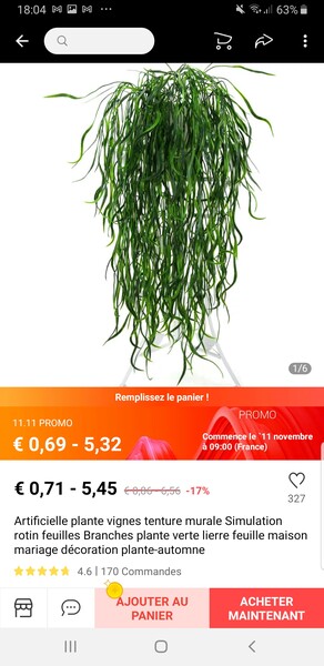 1 plante 