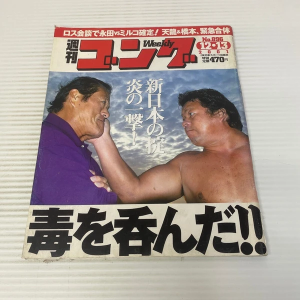 Weekly Pro Wrestling Japanese Magazine Volume Number 895 December 2001