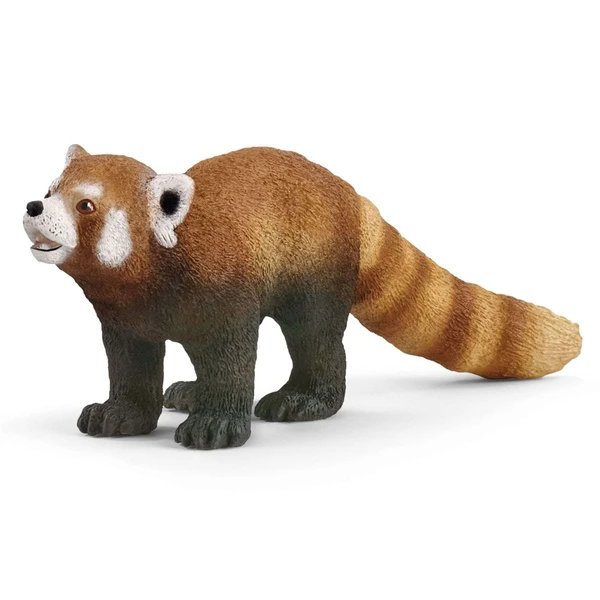 Panda Roux