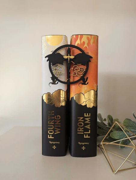 Décoration bibliothèque thème dragons