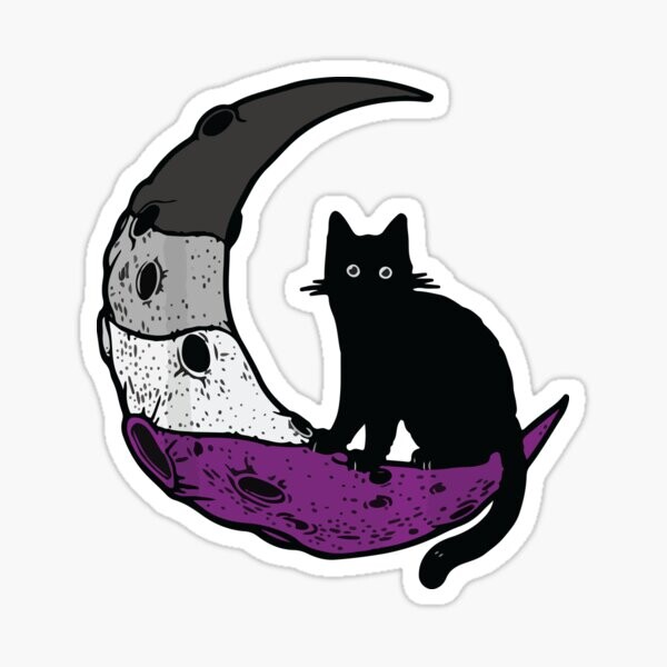 Asexual Moon Space Cat LGBT Gay Festival Pride With Ace Flag | Sticker