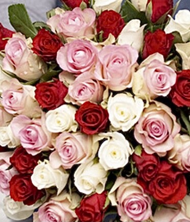 Livraison de bouquets de roses