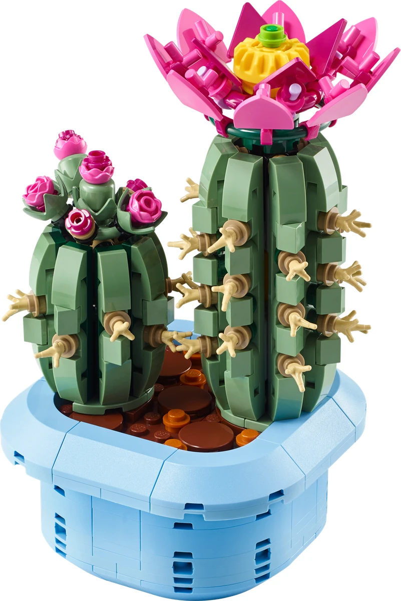 Cactus fleuri