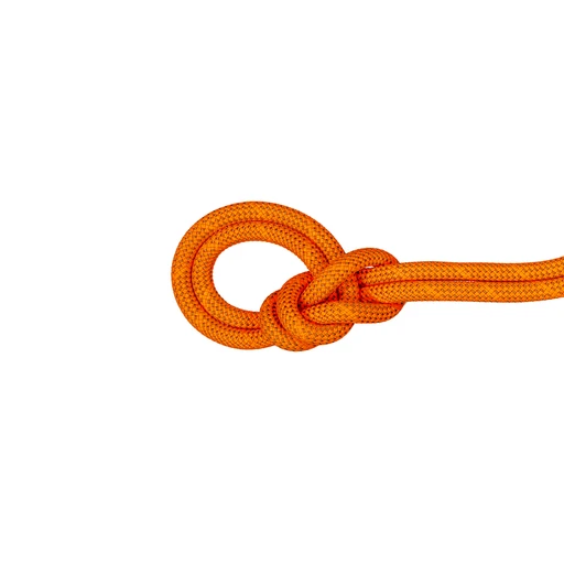 9.8 Crag Dry Rope