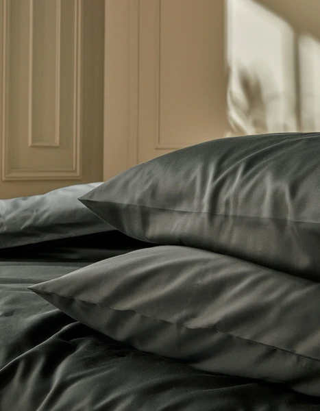 Taies d'oreiller x2 Satin de coton 200 fils