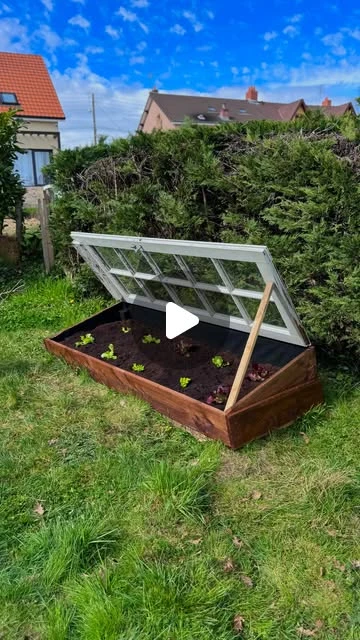 Mathieu Moulia & Mathilde • DIY on Instagram: "Mini-serre potager : moins de 50€ ✅La meilleure technique pour réaliser une mini serre pour son potager: pour pas cher, solide & design 🌱 je pense qu’on l’a trouvée.✅ Pour recevoir les dimensions & le matériel utilisé pour ce DIY commente avec le mot « croquis »Avec une vieille porte fenêtre, ou une fenêtre 🪟 si tu en trouves une, tu peux reproduire le même châssis pour ton potager 🙌Prix des planches de coffrage : ~40€ , mais je suis certain que le coût peut arriver proche de 0€ en bricolant une version avec du bois de palette ✅La porte fenêtre : on en voulait une avec un design sympa, donc on l’a acheté en ressourcerie pour 8€. Mais possible d’en trouver gratuitement, les menuisiers en déposes des remorques en déchèteries ✨Des bisous ❤️#jardinage #potager #gardening"
