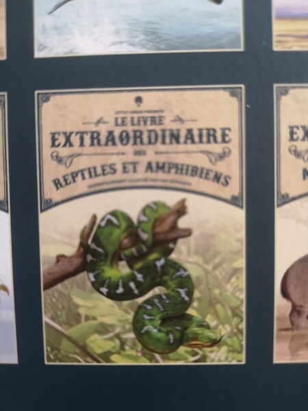 Le livre extraordinaire des reptiles et amphibiens