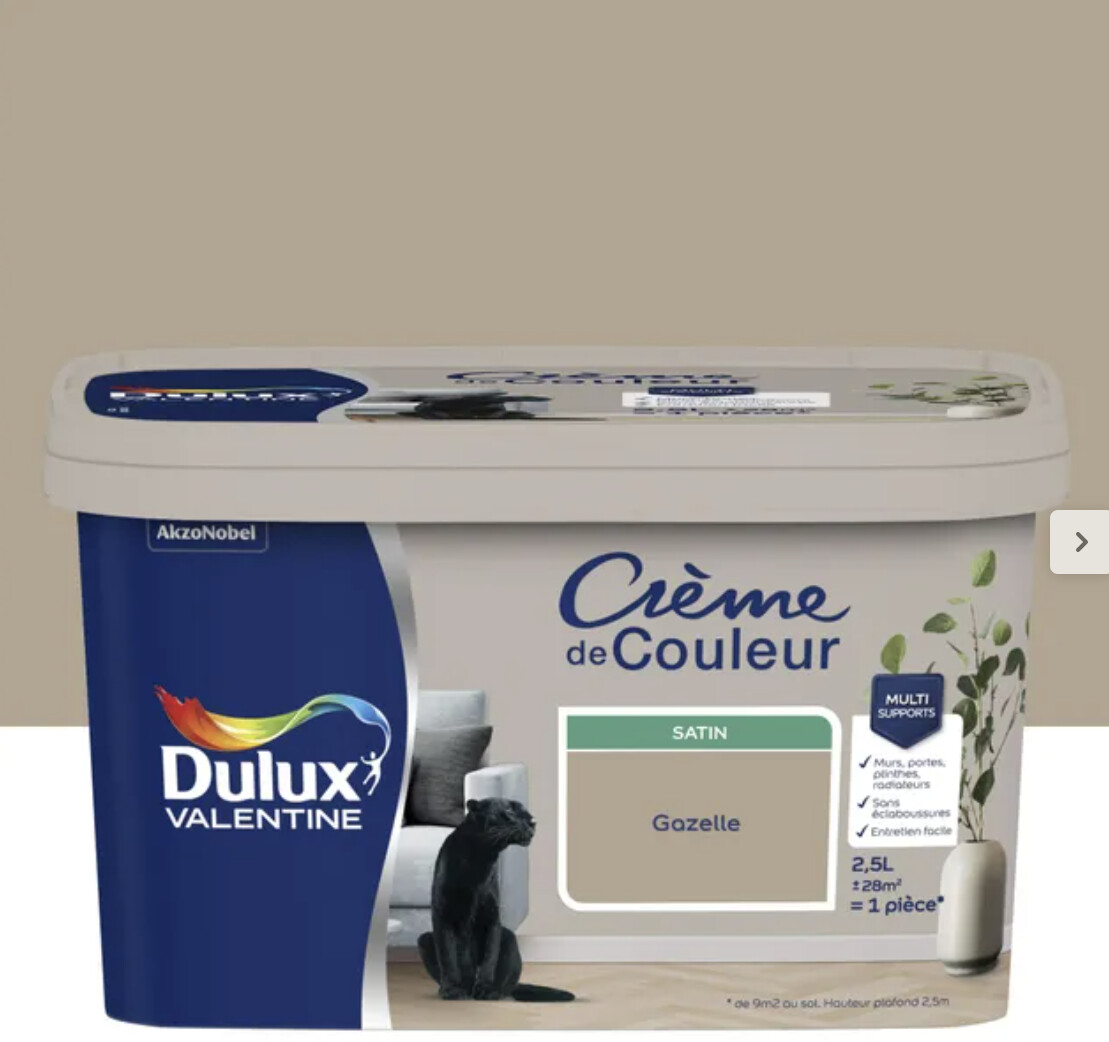 peinture 