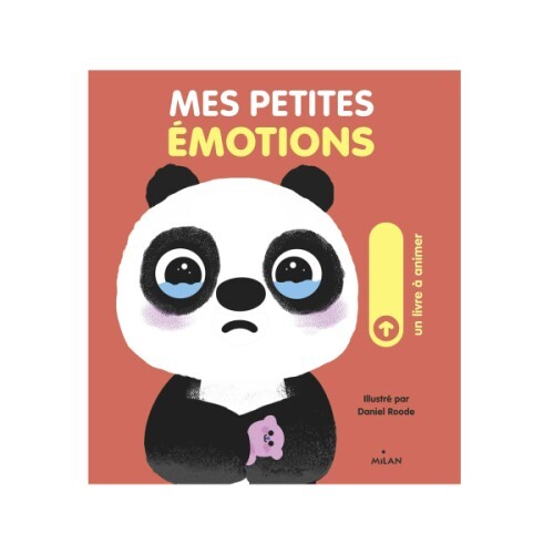 Livre Mes petites émotions