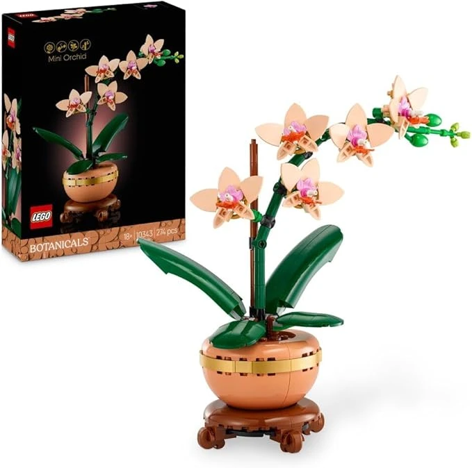 LEGO Botanicals L’orchidée Miniature - Fleurs artificielles pour Adulte - Plante d'intérieur avec Pot Style Terracotta - Décoration intérieure et idée Cadeau pour Femme ou Homme 10343