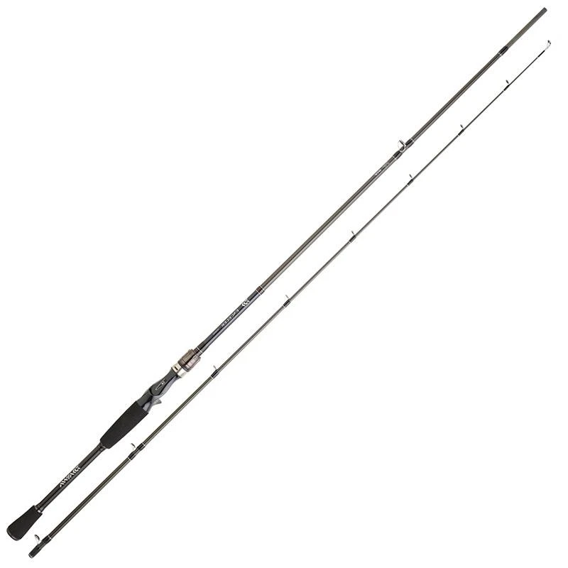 CANNE CASTING DAIWA EXCELER CASTING (224cm / 28-84gr)