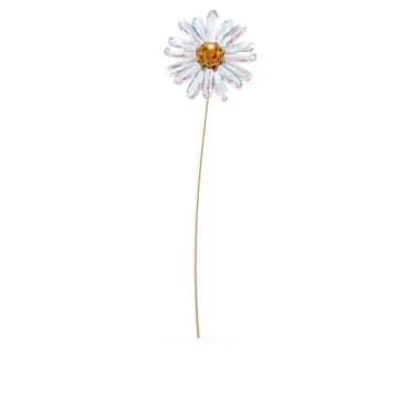 Garden Tales Daisy