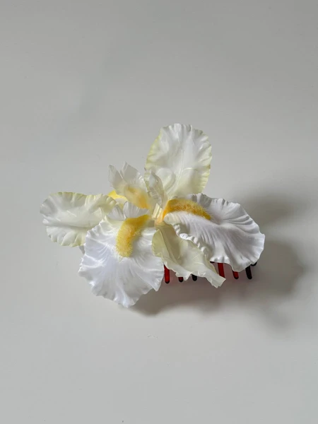 buttercup white iris claw