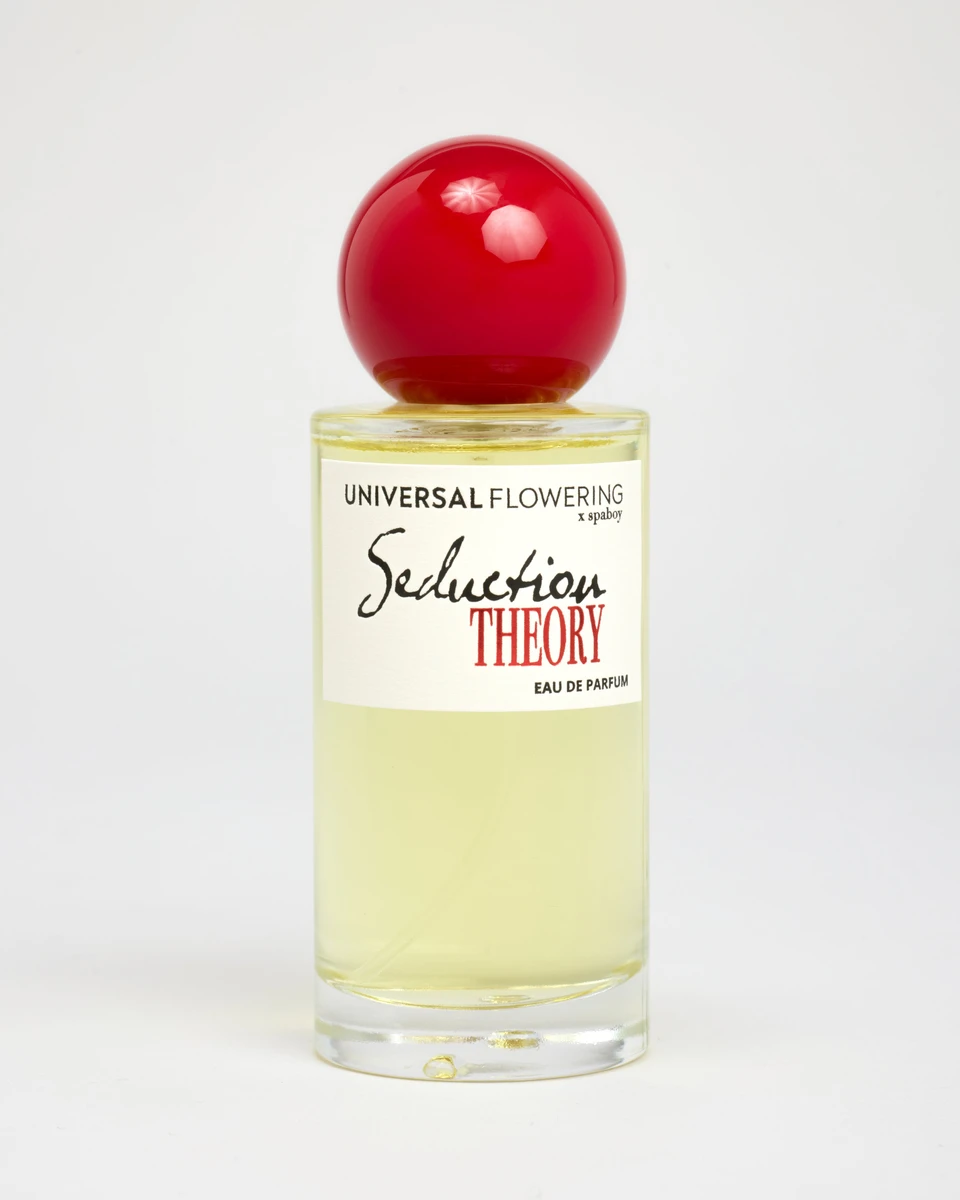 SEDUCTION THEORY