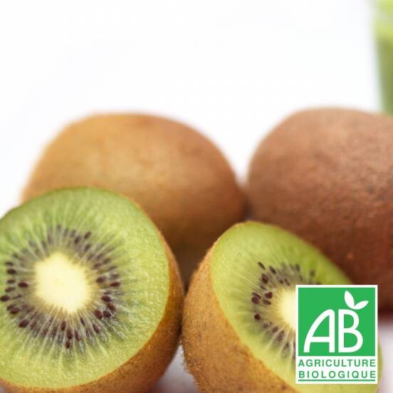 Kiwi chinensis Solissimo® 'Renact' (Autofertile) - Achat direct au producteur