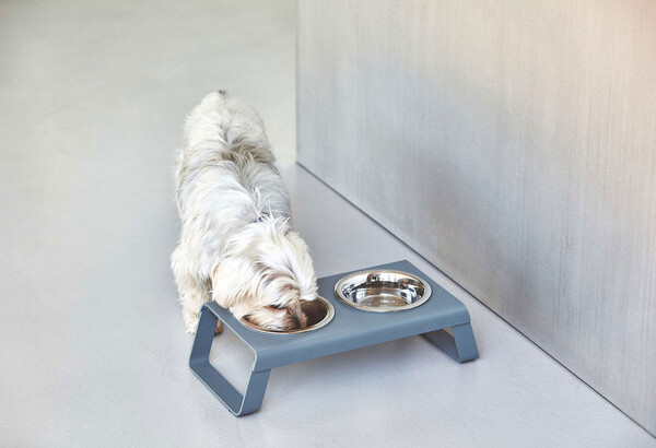 Desco Dog Feeder / MiaCara