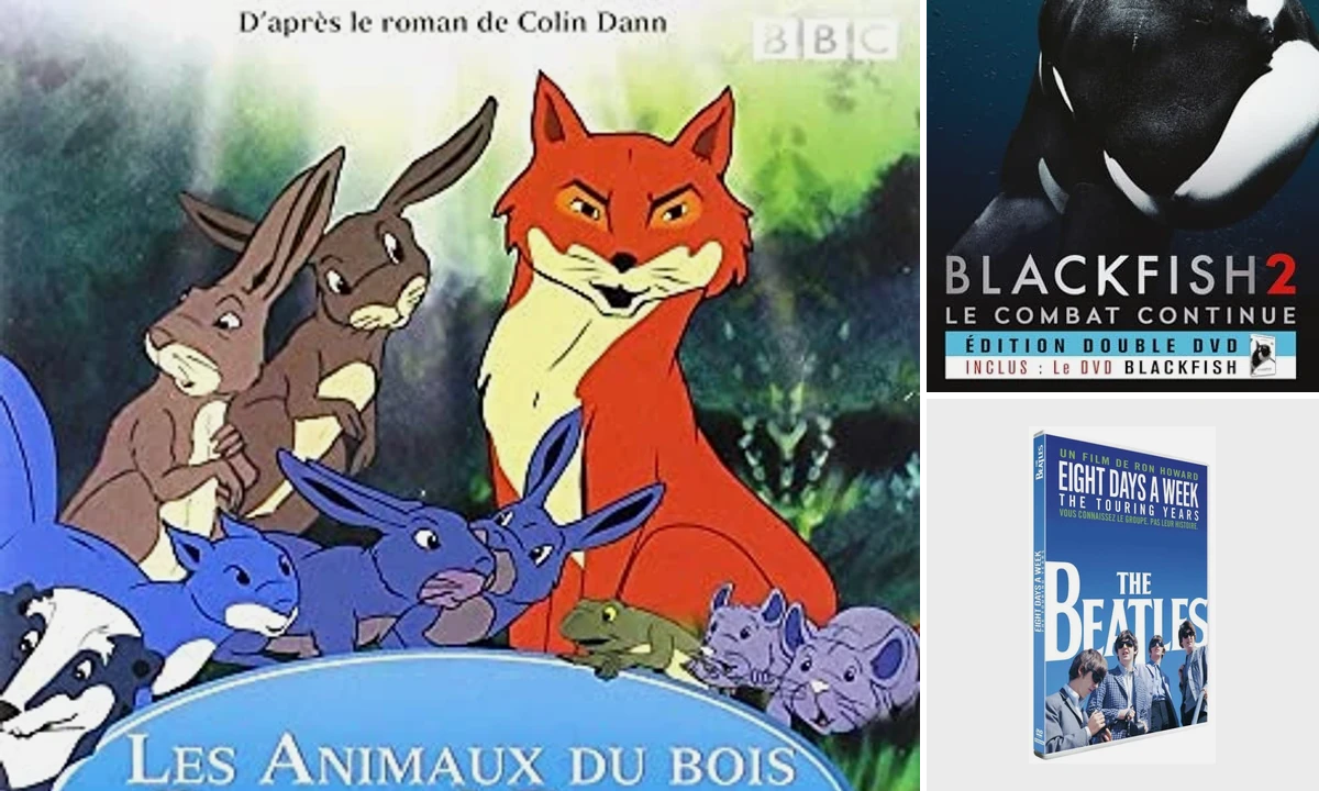 films/séries/musique qui me fait envie/dont j'ai besoin