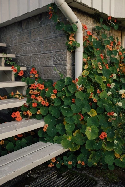 Épinglé sur g a r d e n