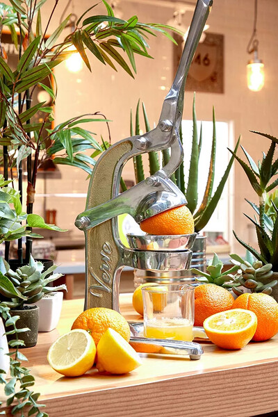 Artisan - Presse-agrumes