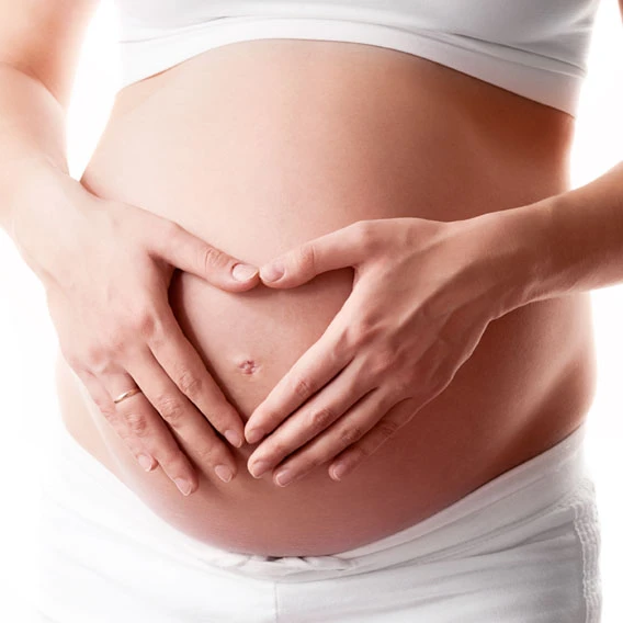 Ecografía Basic I | Ecodadys