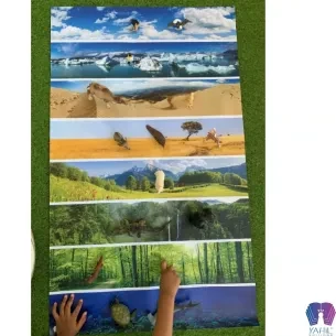 Milieux de vie - 100 cm x 60 cm