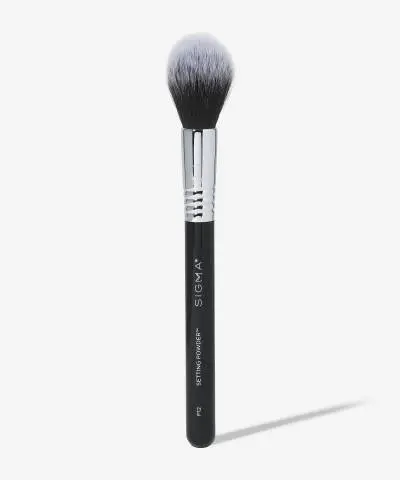 Setting Powder brush