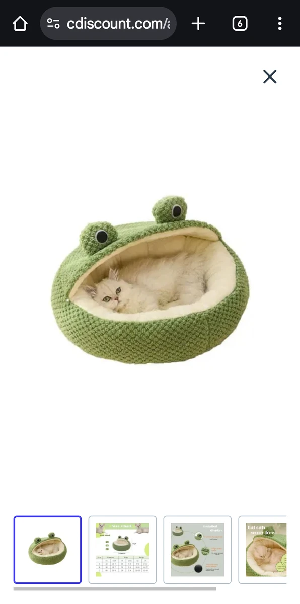 Grotte en forme de grenouille