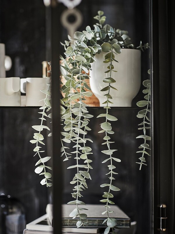 FEJKA Plante artificielle en pot - intérieur/extérieur à accrocher, eucalyptus 9 cm