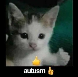 ziyedyusufayoub