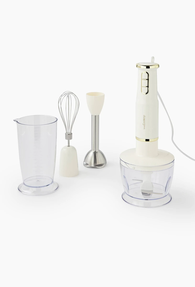 Set mixeur plongeant