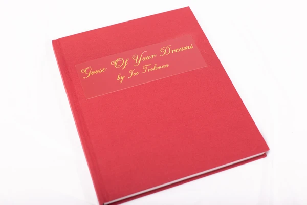 Goose Of Your Dreams by Joe Trohman (Regular Edition)