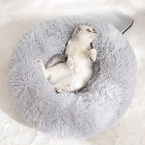  Panier pour Chat Coussin 