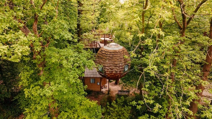 Cabane perchée 