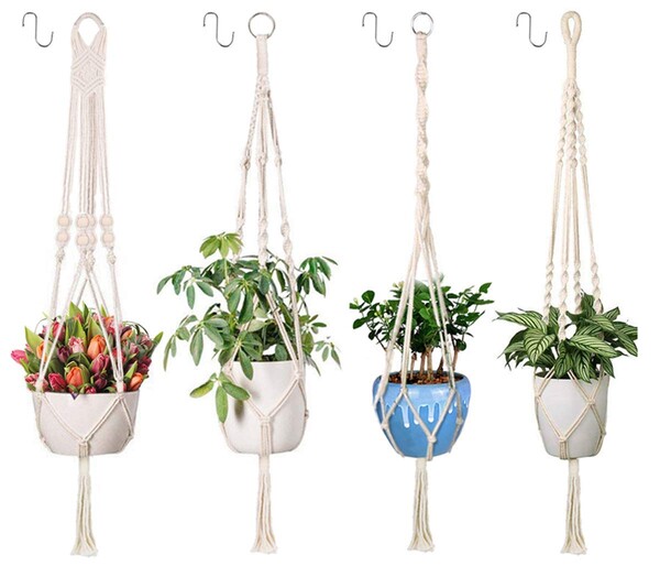 Suspensions plantes