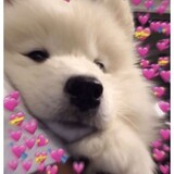 Kuro