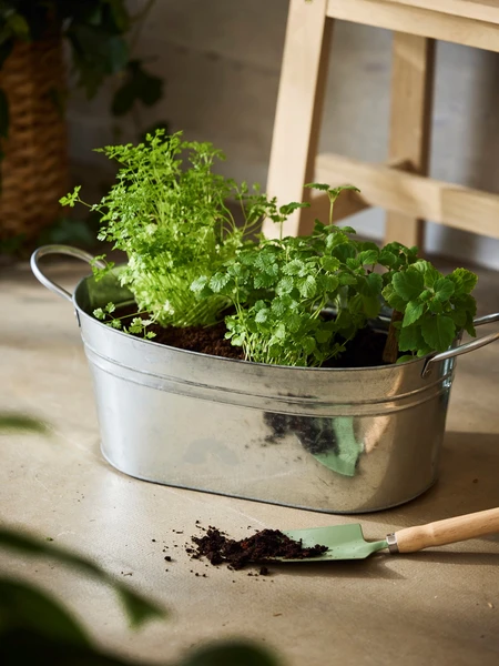 Bassine avec poignée