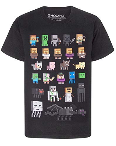 Minecraft Sprites Boys White T-Shirt, Noir, 12-13 ans