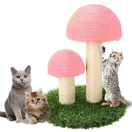 Chat griffoir, Champignon