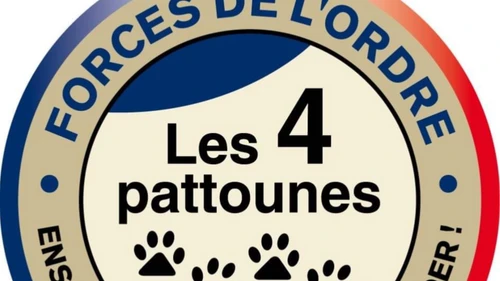 Écusson officiel les4pattounes