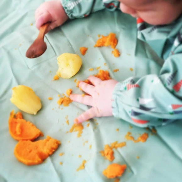 Hamstouille Bébé - Programme accompagnement diversification & DME dès 4 mois