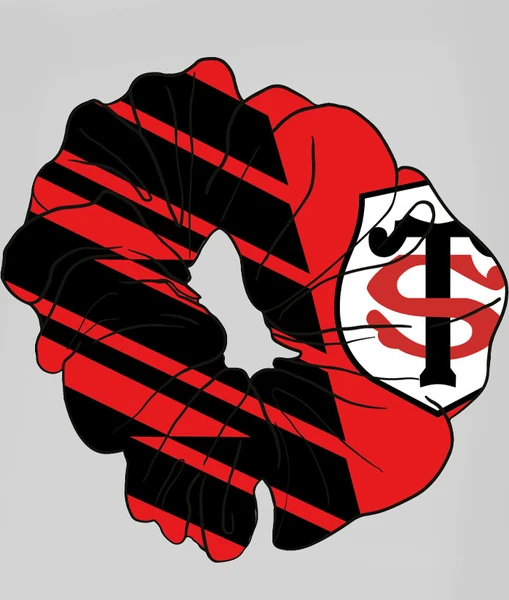 Chouchou stade toulousain 