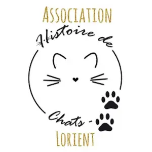 histoiredechats