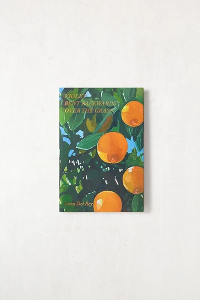 Violet Courbé en Arrière Sur l'Herbe Par Lana Del Ray