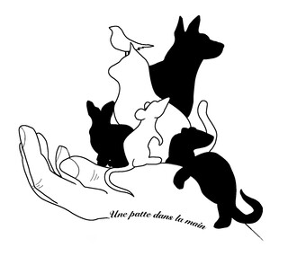 Une patte dans la main 